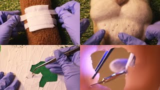 ASMR ENG SUB | A visiting doctor 👩🏻‍⚕🩺 | Treating Forest Animals✨