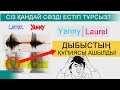 Yanny немесе Laurel ДЫБЫСТЫҢ ҚҰПИЯСЫ АШЫЛДЫ