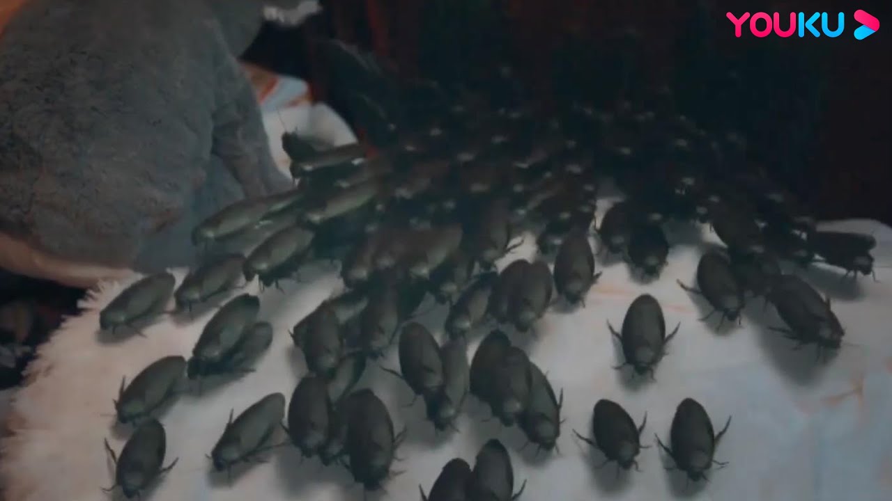 ⁣Modified cockroaches get out of control and escape to attack humans! | Khepri | YOUKU MONSTER MOVIE
