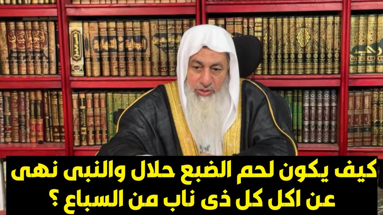 كيف يكون لحم الضبع حلال والنبى نهى عن اكل كل ذى ناب من السباع ؟الشيخ مصطفى العدوى