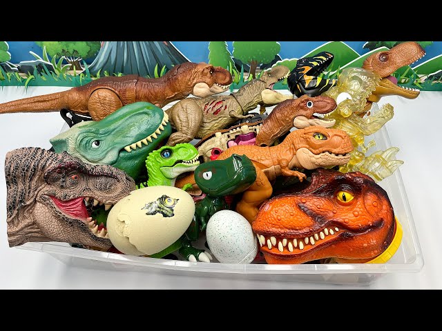 Dinosaur Tyrannosaurus Rex Box! T-Rex Head Robot Eggs  티라노사우루스 공룡 class=