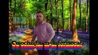 Raul Tulea -   Cu ochii tai m - ai fermecat