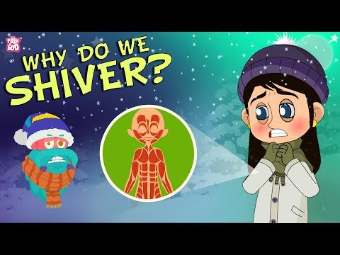 Why Do We Shiver? | The Dr Binocs Show | Best Learning Videos For Kids | Peekaboo Kidz