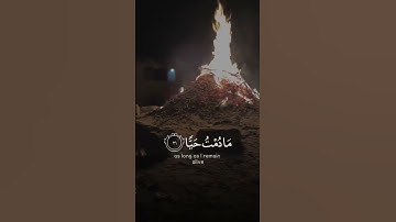 ما أجمل القرآن الكريم 🤍  #القرآن_الكريم #القران_الكريم #اللهم_صل_وسلم_على_نبينا_محمد #تلاوات #تلاوة