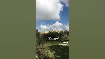 #القرآن_الكريم #تلاوة_هادئة #تلاوة_خاشعة #اكسبلور