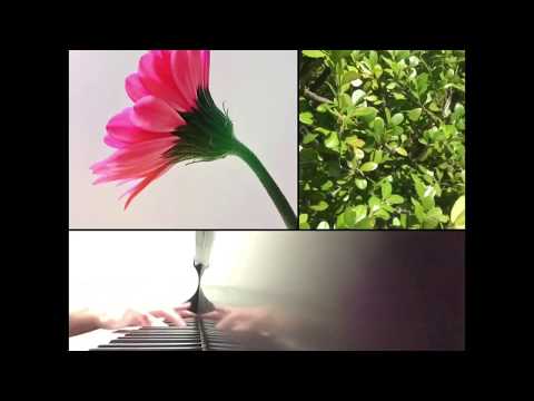 自然美と共に暮らす