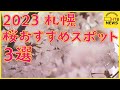 札幌の「サクラ」おすすめスポット3選!大通公園では「きびっち」がとうきびワゴンを盛り上げる