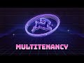 How to achieve multitenancy in directus