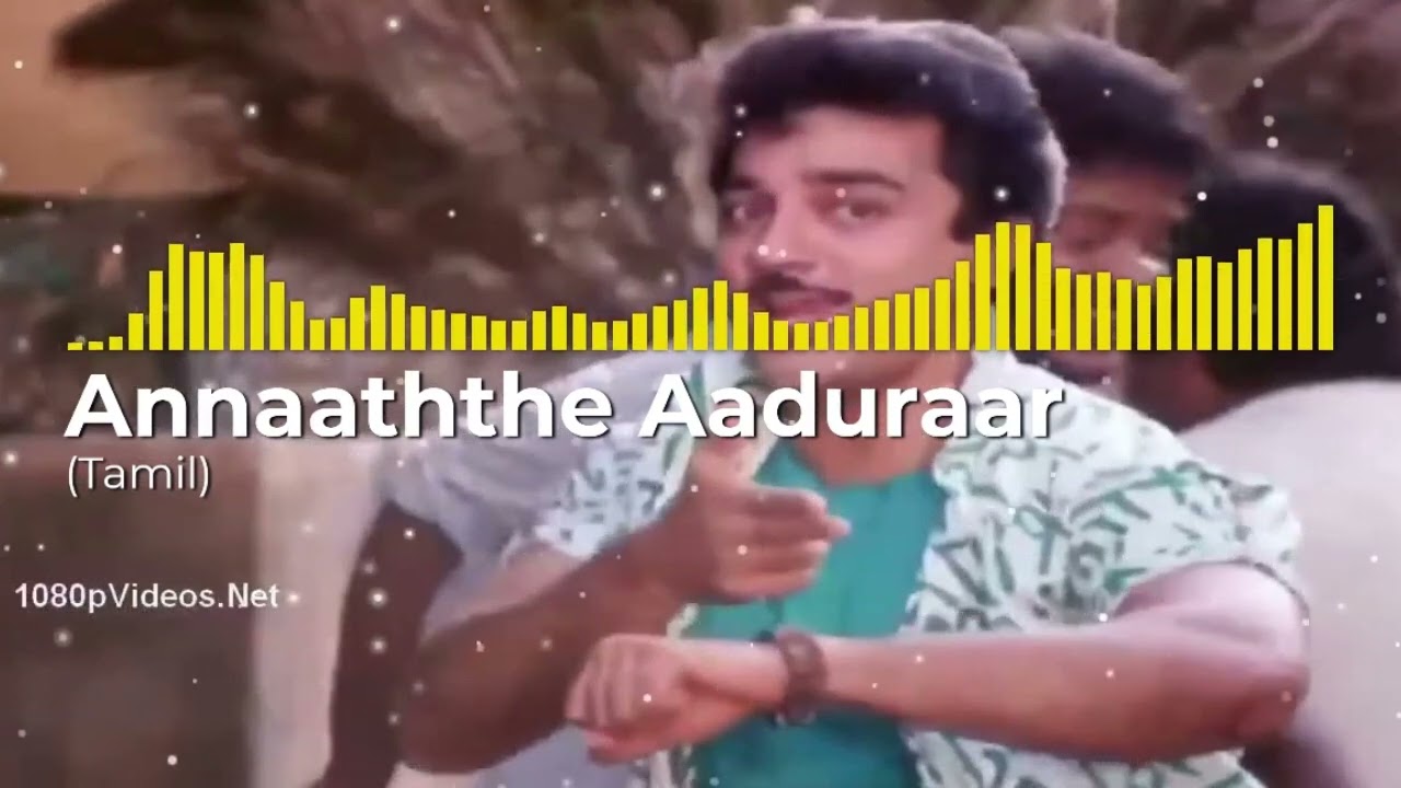Annaaththe Aaduraar (Tamil) - Apoorva Sagodharargal |Kamal Haasan , Ilaiyaraaja|LOFI SONG | MR MUSIC