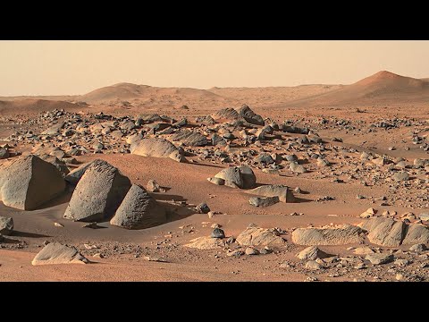 Vídeo: ¿Qué Está Creciendo En La Sonda Phoenix Mars? - Vista Alternativa