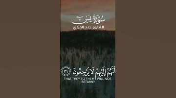 يا حسره على العباد القارئ رعد الكردي
