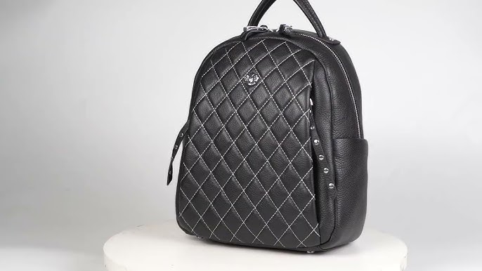 LOUIS VUITTON Apollo Backpack Monogram Eclipse Vivienne Limited MINT