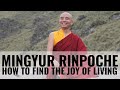 INTERVIEW WITH MINGYUR RINPOCHE - HOW TO FIND GOODNESS AND WISDOM IN EACH OF US