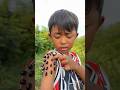 Survival Skills: SMARTideaand USEFUL with single mom🐼🥹🍅#bushcraft #camping #outdoors6542