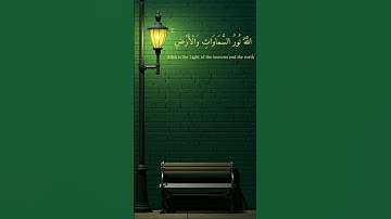 قرآن كريم بصوت جميل من سوره النور للقارئ ماهر المعيقلي 💚✨