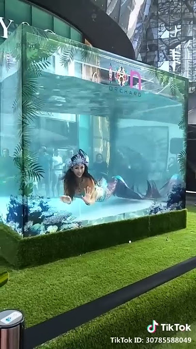 MERMAID.