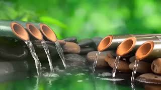 Soothing Relaxation: Relaxing , Sleep Music, Water Sounds, Relaxing Music, Meditation
