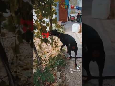 КОГДА ПРАЗДНИК ЗАКОНЧИЛСЯ 😢😢😢