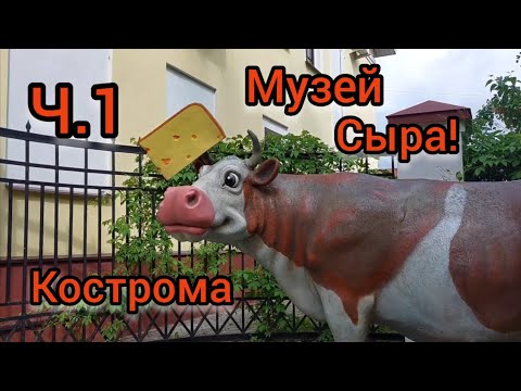 Ч.1 Путешествие в Кострому! Музей СЫРА!!!