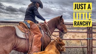 SELLING OUR STUFF | FINDING PETRIFIED TREASURE #ranchy #punchy