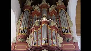J.S. Bach - Concerto D Dur (part 1) after BWV 1042, 1054. Wouter Koelewijn, MΓΌller organ Leeuwarden