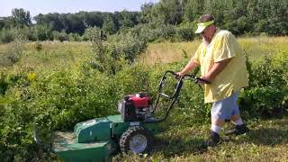 Mowing an overgrown field. #dirtandstonelandscaping #billygoat #brushmowing