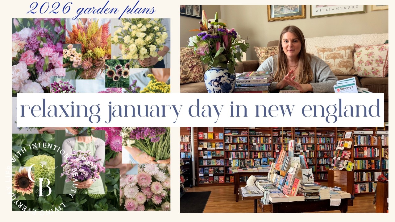 Изучение небольших городков Новой Англии и планы по обустройству сада к 2026 году.