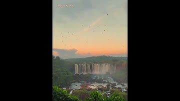 راحه نفسيه..حالات واتس اب❤️قرآن كريم🌹 بصوت جميل وخاشع ومنظر اكثر من رائع