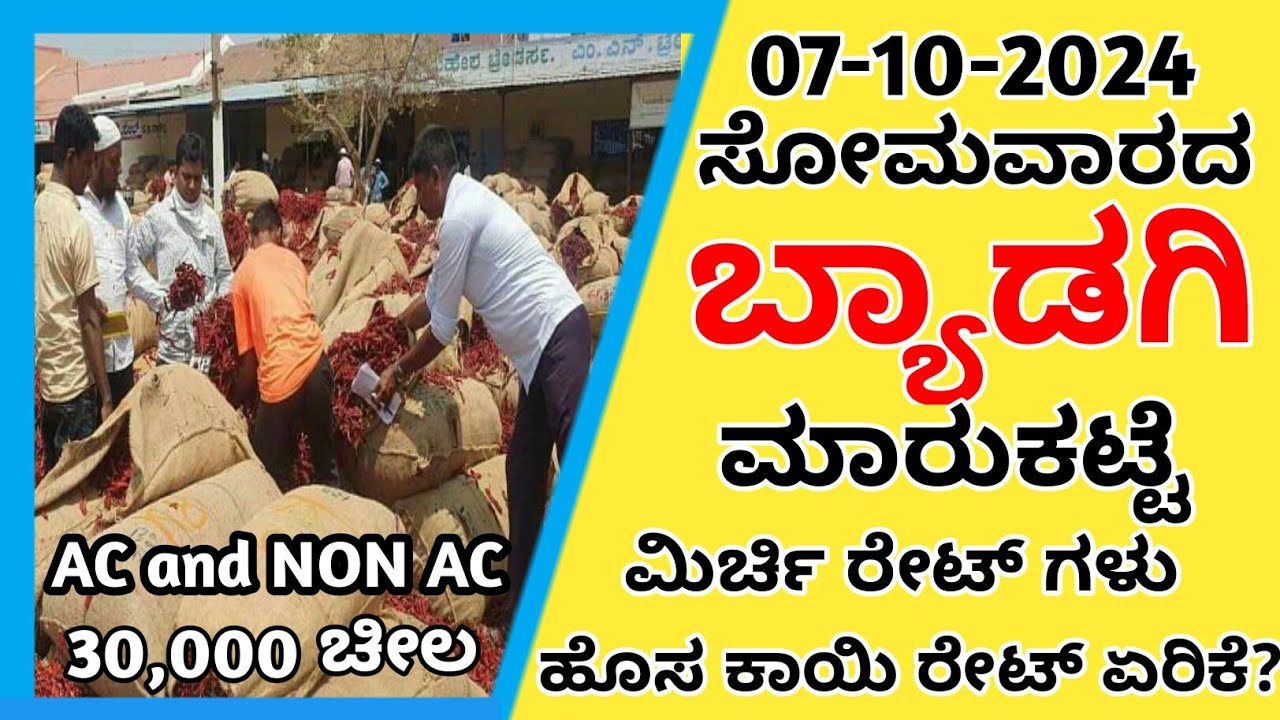 07-10-2024-monday-byadgi-market-chilli-rate-byadgi-market-mirchi-rate