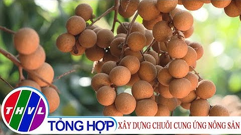 Góc nhìn thị trường: Xây dựng chuỗi cung ứng nông sản