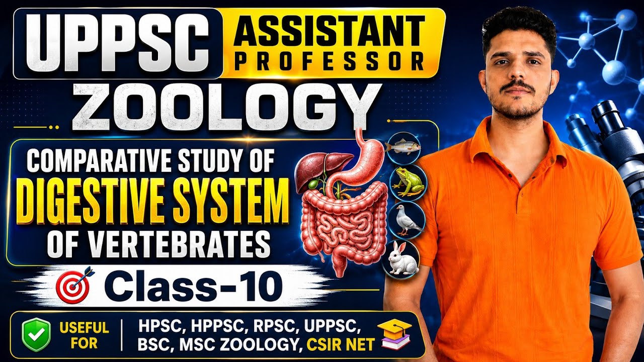 UP Assistant Professor Zoology / Comparative anatomy of amniotes and ...