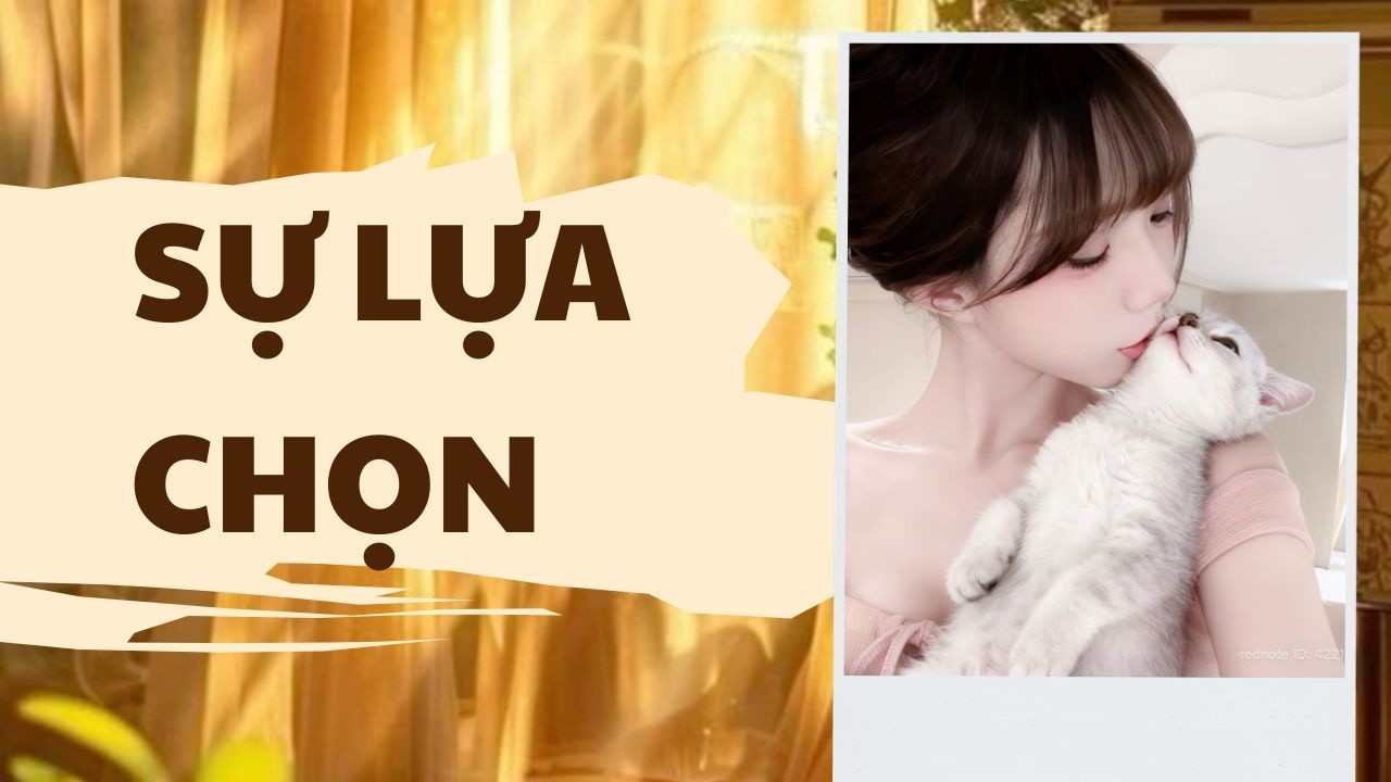 [ TRUYỆN AUDIO ]  || SỰ LỰA CHỌN || Meo Tổng