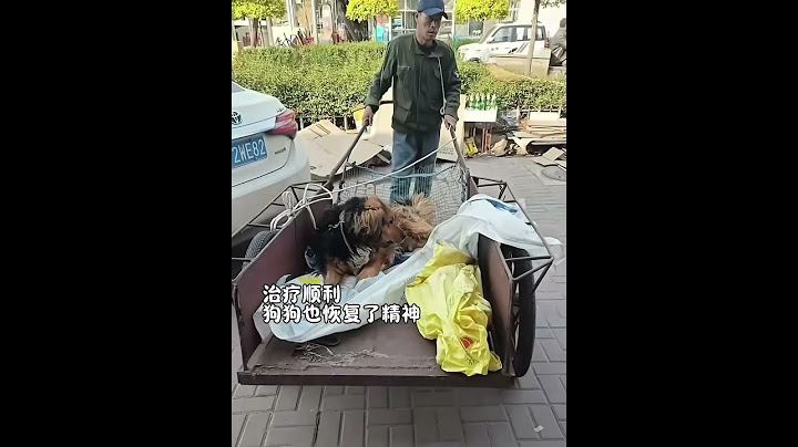 忠心的狗狗遇到了善良感恩的主人#狗狗 #狗狗的心思都写在脸上了 #治愈系 #狗狗故事 #画一个故事 （视频素材源自于@老刘说宠物）