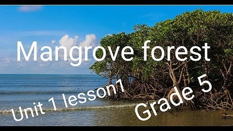 Unit 1 Lesson 1 / Connect plus / Grade 5 كونكت بلس / الوحده الأولى / الدرس الأول / الصف الخامس 2023