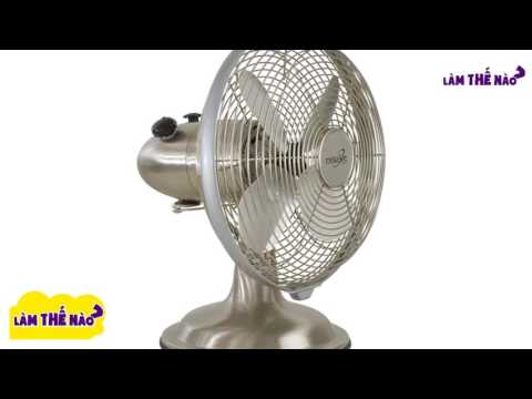 Mách bạn cách làm khô giày nhanh chóng khi dính mưa | Foci