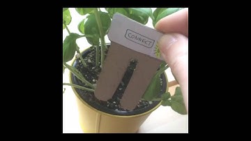 Video as a rapid prototyping tool - video sketching using Instagram.