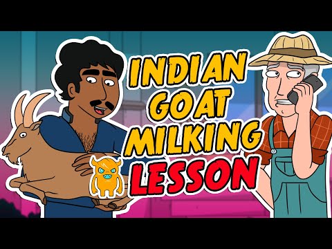 indian-man-gives-goat-milking-lesson-(animated)