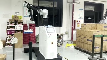 Cobot Palletizer FAT Tesing #cobotpalletizer #cobot #machine