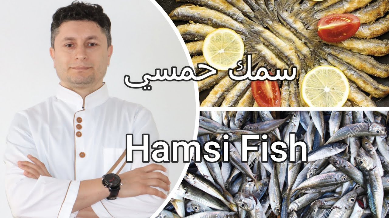 Hamsi fish سمك حمسي - YouTube