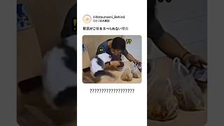 獣医がご飯を食べられない理由