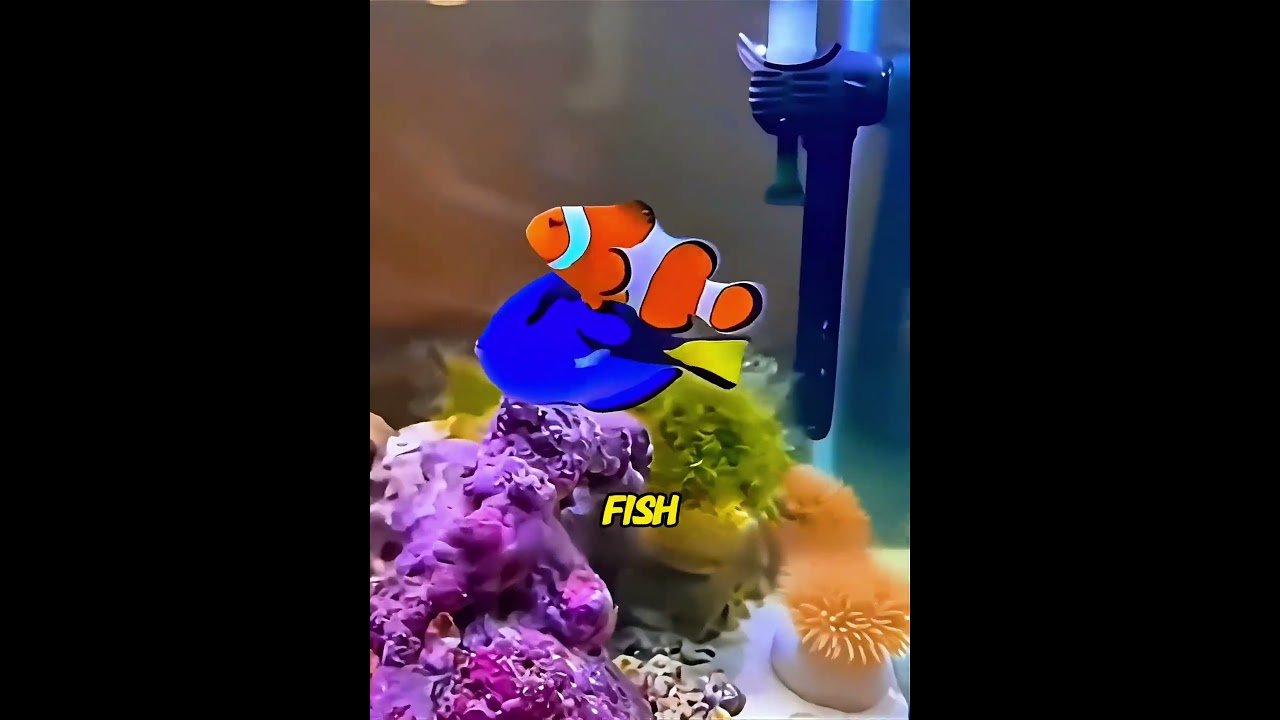 A tiny clownfish jumped onto his boat to escape a shark! 😱🐠#usa  #shorts