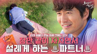 잠자리파트너인지 연인인지 구분 못하게 하는 이진욱ㅠㅠ 연애하고 싶은 정유미는 혼자 파트너 짝사랑 중 | #깜찍한혼종_로맨스가필요해2 | #Diggle