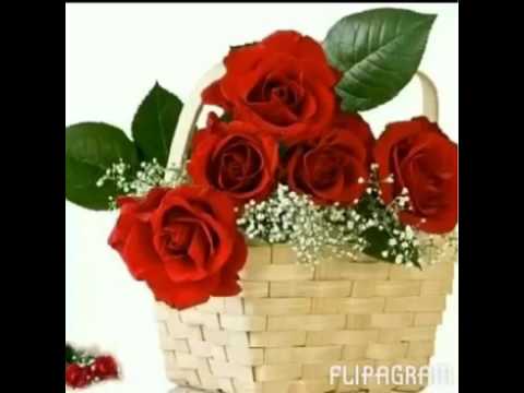 اصبحنا واصبح الملك لله رب العالمين