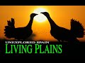 Short Documentary: Living Plains