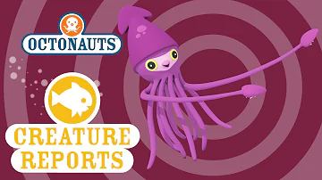 Octonauts: Creature reports - Colossal Squid