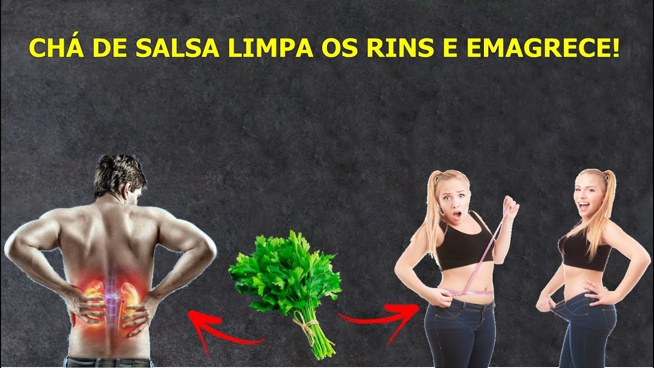 Salsa Rins CHÁ DE SALSA LIMPA OS RINS E EMAGRECE! - Bemaisaúde - YouTube