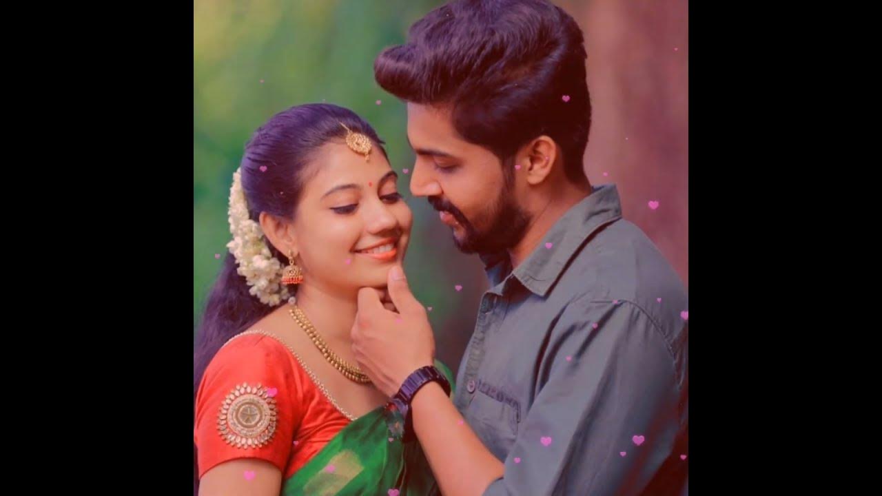 Sonnalum ketpathillai 💕🥰 #tamillovesong #arrahman #punnikrishnan #harini #love