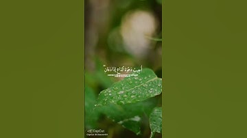 واذا سالك عبادي عني فاني قريب سوره البقره كامله بصوت الشيخ فارس عباد