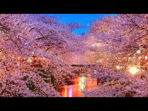 Vanessa Mae  -   Theme From Caravans - Blaubeuren 8.06.2013