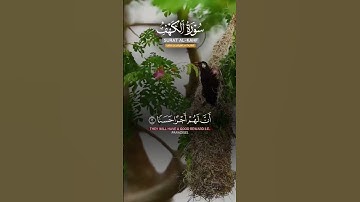 سورة الكهف #quran #quran_kareem #قرآن #قرآن_كريم #قران_كريم